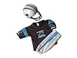 Carolina Panthers Youth NFL Team Helmet and Uniform Set