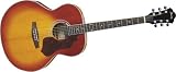 Ibanez SGE130 Sage Series Acoustic Electric Guitar (Honey Sunburst)