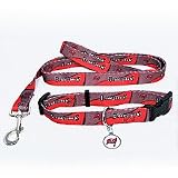 Tampa Bay Buccaneers Dog Collar & Leash Set