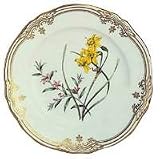 Spode 22SFL602 Stafford Flowers 9 Narcissus and Crowea Plate