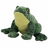 Review TY  / TY Ponder the Frog Beanie Baby