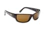 Fisherman Eyewear Pro Current Guideline Sunglass (Tortoise Frame, Brown Lens)