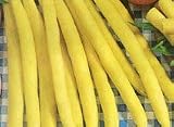 Pencil Pod Black Wax Bean - 50 Seeds - BONUS PACK ! - B001IZ3DAU