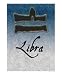 Libra Emerging Artists Photographic Poster Print by Su Omynona, 16x20