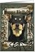 Happy Birthday - Stone Paws - Australian Kelpie - Jude Card