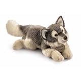 Yomiko Wolf Large
