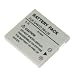 AKKU Sanyo DB-L20 - Lithium-Ionen AKKU Sanyo DB-L20 (siehe Beschreibung für passende Geräte)