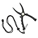 Rapala(p) tBbVz_[ RFH RFH