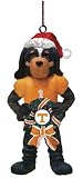 Tennessee Volunteers Mascot Wreath Ornament