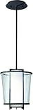 Bennington 12 High Fluorescent Hanging Outdoor Light