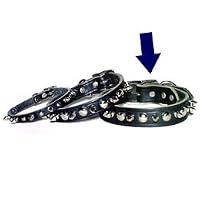 Spiked & Studded Latigo collar
