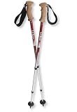 L.L.Bean Hikelite Anti-shock Poles