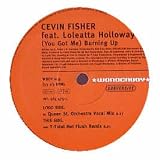CEVIN FISHER / BURNIN UP