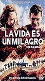 LA VIDA ES UN MILAGRO