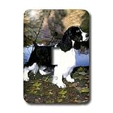 Dogs English Springer Spaniel - Black And White Springer Spaniel - Light Switch Covers - single toggle switch