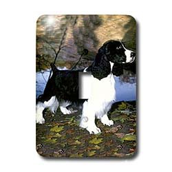 Dogs English Springer Spaniel - Black And White Springer Spaniel - Light Switch Covers - single toggle switch