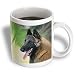 Dogs Belgian Malinois - Belgian Malinois Portrait - Mugs
