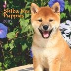 Shiba Inu Puppies 2009 Mini Wall Calendar