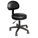 Rolling Stool Deluxe With Removable Backrest Cushion
