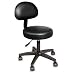 Rolling Stool Deluxe With Removable Backrest Cushion