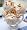 Ice Cream of the Month Club - 3 Months of Gourmet Ice Cream! - FREE SHIPPING with every order!