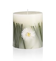 Daisy Mini Inclusion Candle