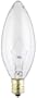 Westinghouse 4027 60-Watt, B10 Decorative Ceiling Fan Bulb, Candelabra Base, Clear, 2-Pack