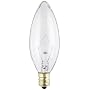 Westinghouse 4027 60-Watt, B10 Decorative Ceiling Fan Bulb, Candelabra Base, Clear, 2-Pack