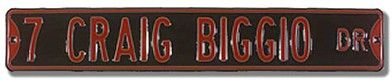 Steel Street Sign: 7 CRAIG BIGGIO DR
