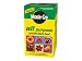 Kitchen & Housewares : 1Kg Miracle-Gro All Purpose Plant Food