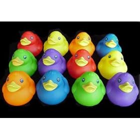 One Dozen (12) Rubber Duck Squeaky Toys ~ Party Favors by 