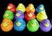 One Dozen (12) Rubber Duck Squeaky Toys ~ Party Favors Image