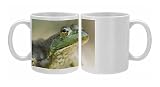 Bufallo National Photo Mugs