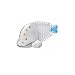 Hasbro 76775186 e-Dog world: e-Fish (Exklusivartikel bei Amazon.de)