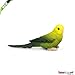 Safari Ltd Wings of the World Green Budgie