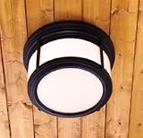 Norwell NW-2957-BL-OP - Norwell Breton Ceiling Light