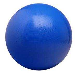 New Valeo Va4483bl 65 Cm Body Ball Includes High Volume Air Pump Exercise Wall Chart Practical