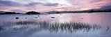 IMAGE OF Loch Ba' at Sunrise, Rannoch Moor, Western Highlands, Scotland, United Kingdom, Europe Stretched Canvas Poster Print by Lee Frost, 14x42