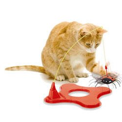 JW Pet Cataction Magneticat Cat Toy- 12