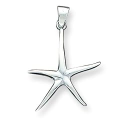 Sterling Silver Starfish Pendant with 20 Inch Chain