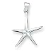 Sterling Silver Starfish Pendant with 20 Inch Chain