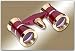 Adorama 3 x 25 Focusing Opera Glass Binocular, Burgundy with Gold Trim