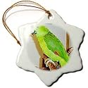 Birds - Yellow Nape Parrot - Ornaments