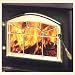 Napoleon H222-GW Gold Plated Wood Stoves Cast Iron Door with Early American Webbed Ar...