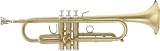 Stomvi Zenith Series Bb Trumpet, Silver - B001EXIT5U