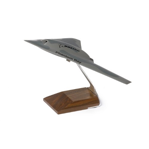 Phantom Ray Executive Model