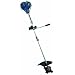 Einhell BG-BC 43 AS Benzin-Sense