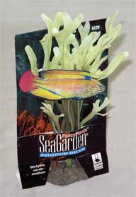 Silk Dictyota Verde Aquarium Plant, Medium Green