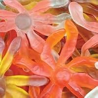 Gummy Octopus 4 lbs.