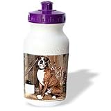 Dogs Boxer - Brindle Boxer - Water Bottles